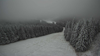 Snímek    21.11.2025 v 11:30