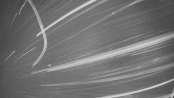 Snímek    23.11.2025 v 05:00