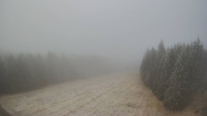 Červenohorské sedlo - Panorama sjezdovka "Červená" - 23.12.2025 v 09:30