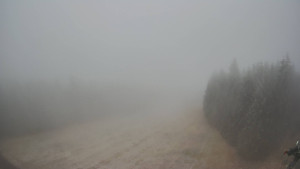 Červenohorské sedlo - Panorama sjezdovka "Červená" - 23.12.2025 v 13:30