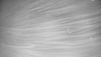 Červenohorské sedlo