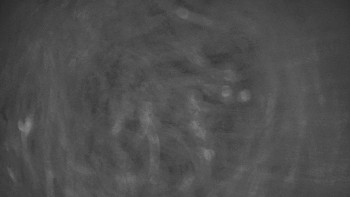 Červenohorské sedlo