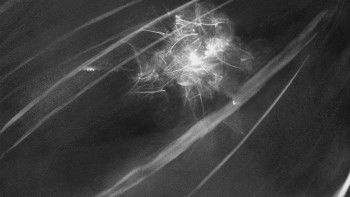 Červenohorské sedlo