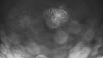 Červenohorské sedlo