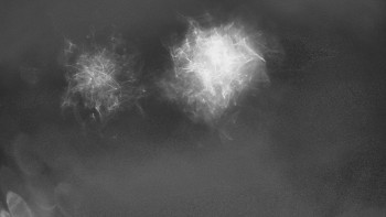 Červenohorské sedlo