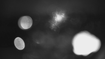 Červenohorské sedlo