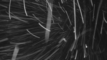 Červenohorské sedlo