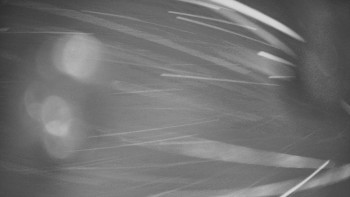 Červenohorské sedlo