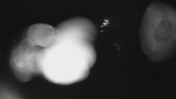 Červenohorské sedlo