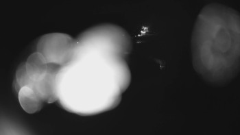 Červenohorské sedlo