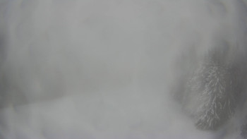 Červenohorské sedlo