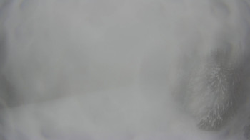 Červenohorské sedlo