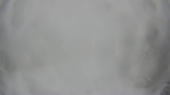 Červenohorské sedlo