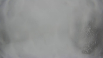 Červenohorské sedlo