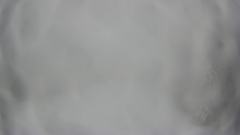 Červenohorské sedlo