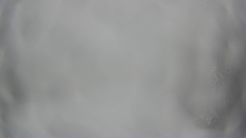 Červenohorské sedlo