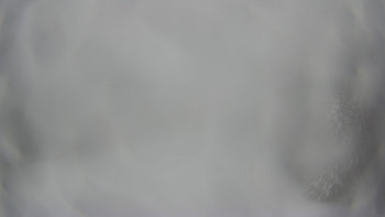 Červenohorské sedlo