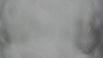 Červenohorské sedlo