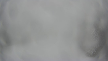 Červenohorské sedlo