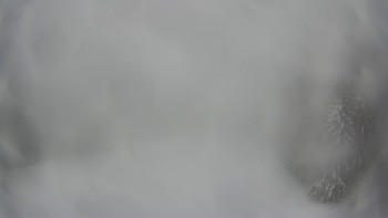 Červenohorské sedlo