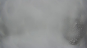 Červenohorské sedlo