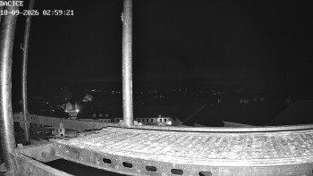 Město Dačice