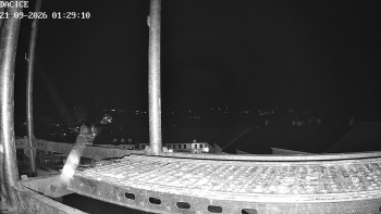 Město Dačice