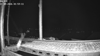 Město Dačice