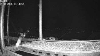 Město Dačice