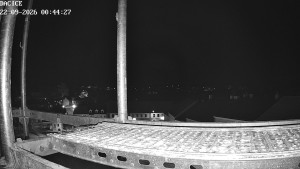 Miasto Dačice - Palackiego plac - 22.9.2026 v 00:45 Miasto Dačice - Palackiego plac - 22.9.2026 v 00:45