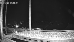 Miasto Dačice - Palackiego plac - 22.9.2026 v 04:45 Miasto Dačice - Palackiego plac - 22.9.2026 v 04:45