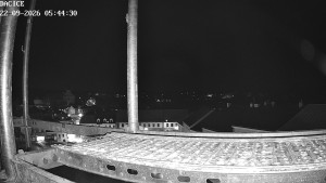Miasto Dačice - Palackiego plac - 22.9.2026 v 05:45 Miasto Dačice - Palackiego plac - 22.9.2026 v 05:45