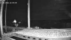 Palackiego plac