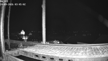 Město Dačice