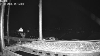 Město Dačice