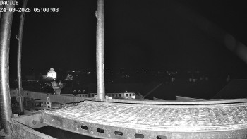 Město Dačice