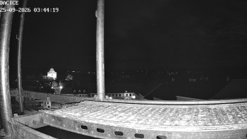 Město Dačice