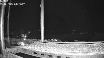Město Dačice