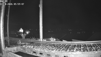 Město Dačice