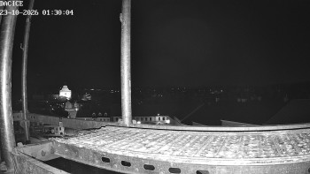 Město Dačice