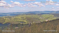 Žalý