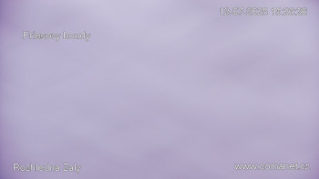 Snímek    12.7.2025 v 15:30