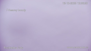 Snímek    16.10.2025 v 13:00