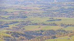 Žalý