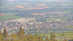 Žalý