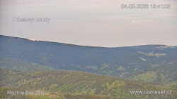 Žalý