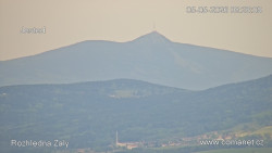 Žalý
