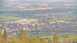 Žalý