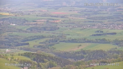 Žalý