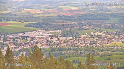 Žalý